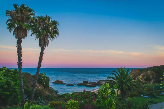 coconut trees and body of water painting