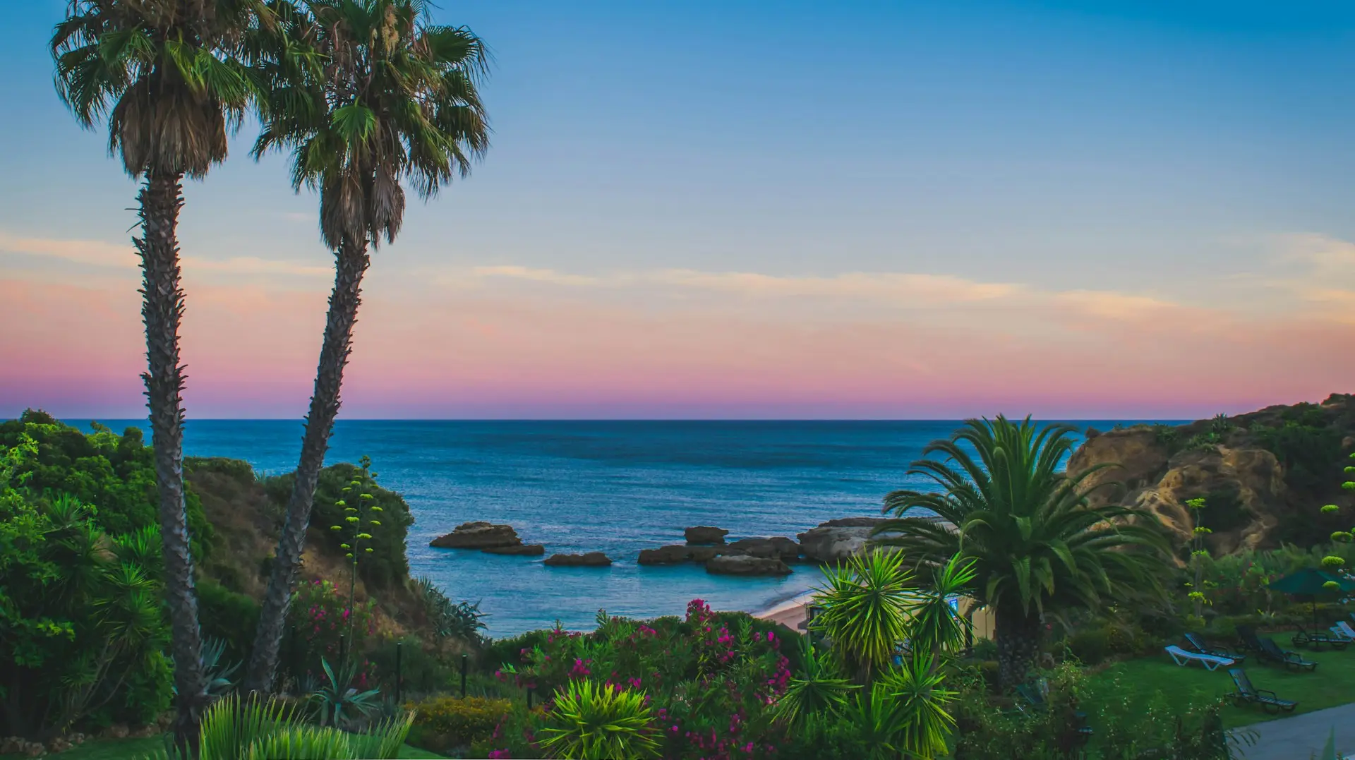 coconut trees and body of water painting